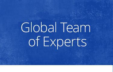 global team Global Team of Experts