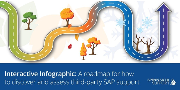 salesforce infographic blog SAP Infographic