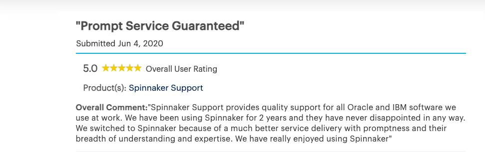 Spinnaker Support positive review from Gartner