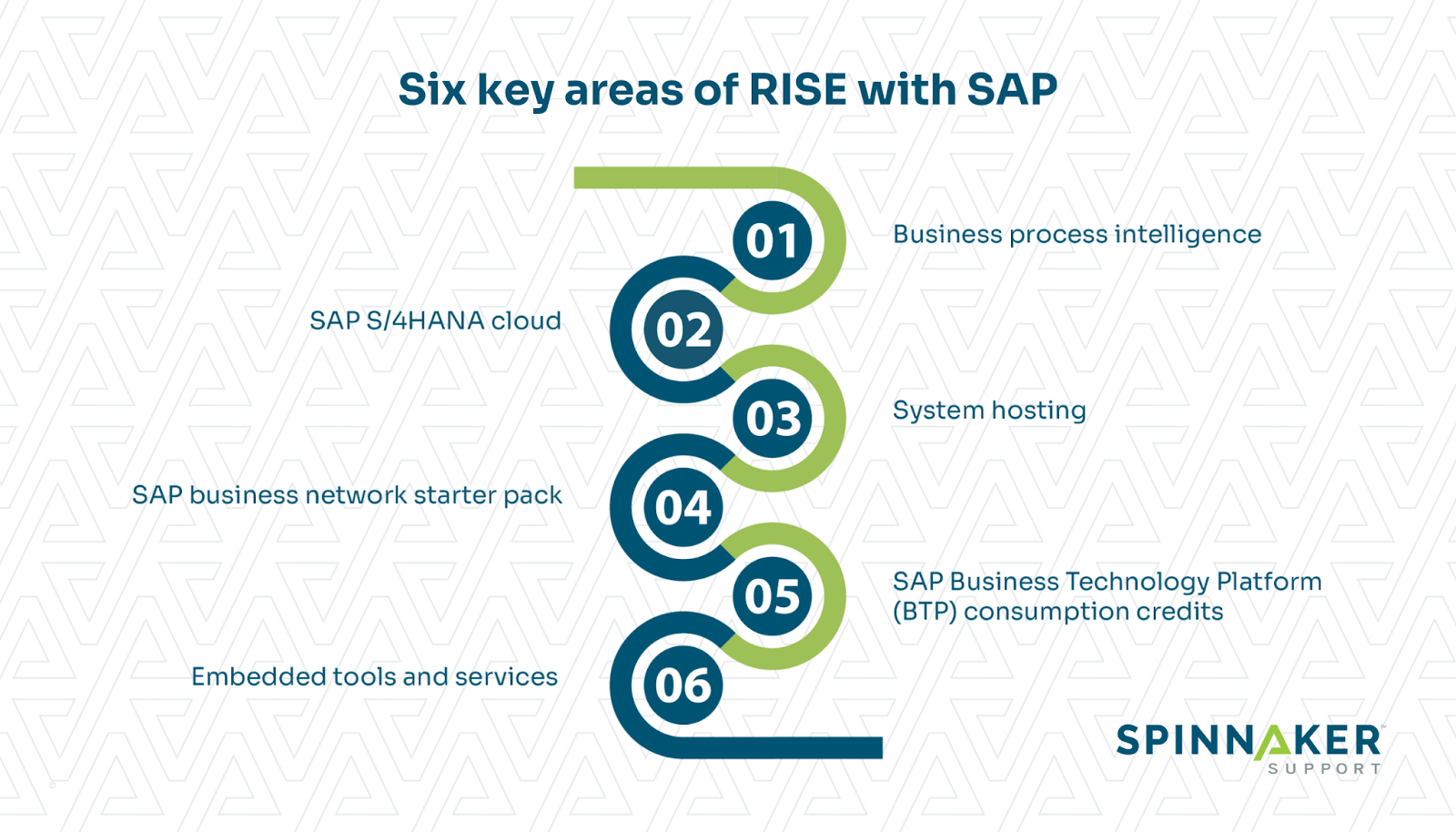 Six key areas of RISE with SAP 