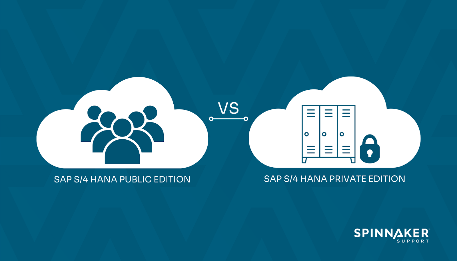 Image showing public vs. private S/4HANA cloud editions.