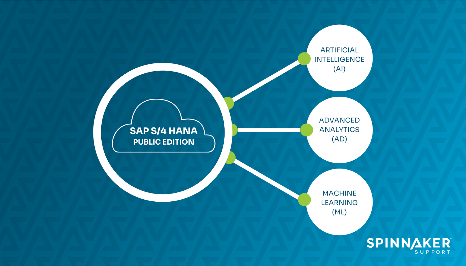 Image showing what S/4HANA cloud public edition comprises