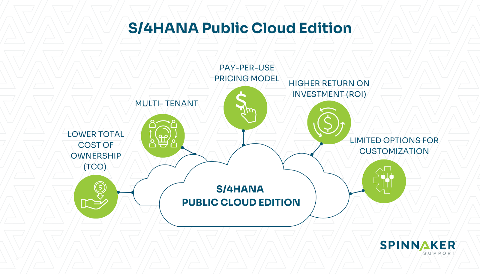  Image showing characteristics of the public cloud version.