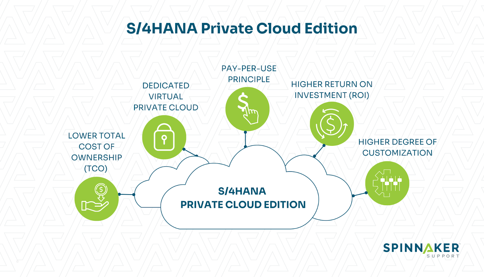 Image showing characteristics of the private cloud version. 