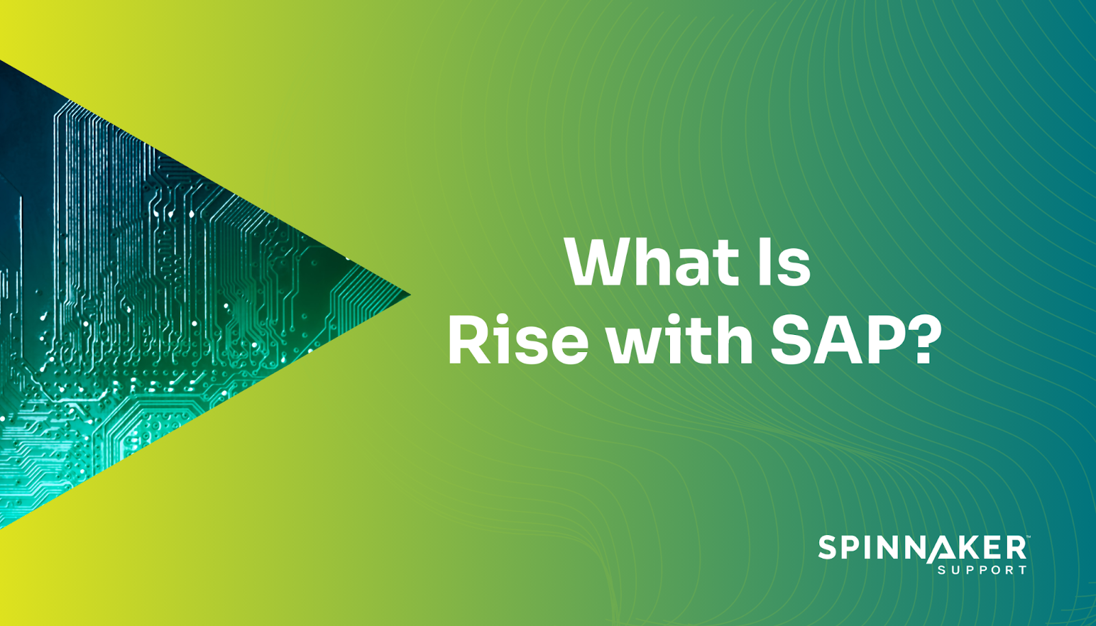  RISE with SAP