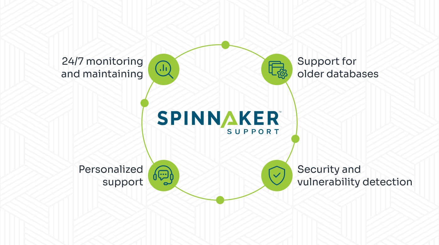 Reasons to choose Spinnaker Support for database health checks