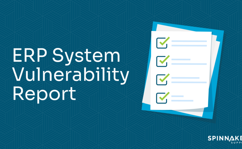 Top Security Risks to Address in an ERP System Vulnerability Report